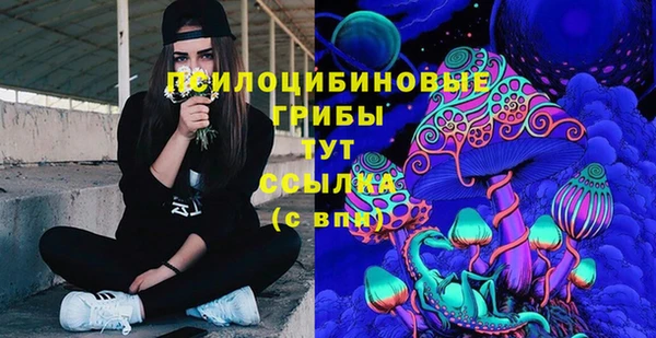 твердый Армянск