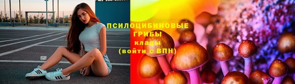 твердый Армянск